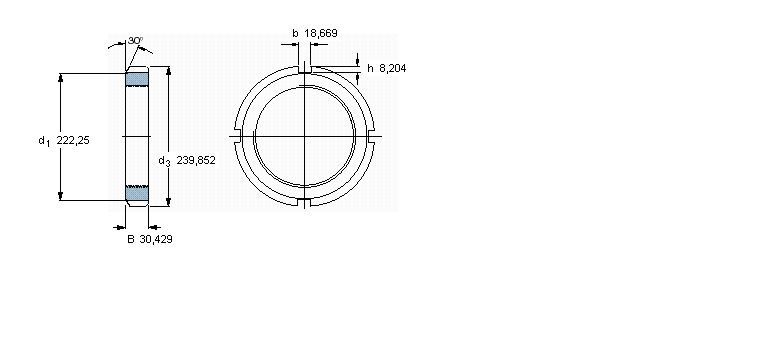 SKF N和AN锁定螺母, 英制尺寸N040样本图片