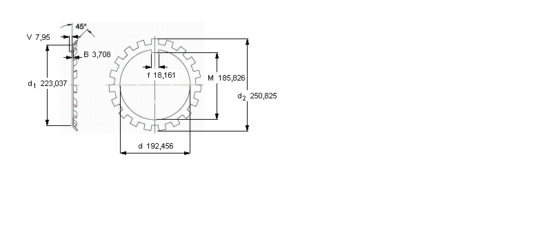 SKF W锁紧垫圈, 英制尺寸W38样本图片